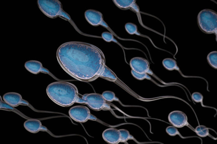 Oligospermia: causas, diagnóstico e tratamento da baixa contagem de espermatozoides