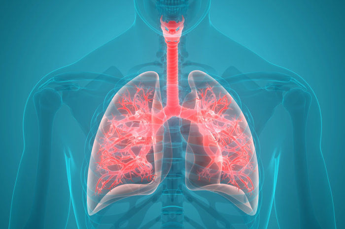 Prova de fun&ccedil;&atilde;o pulmonar: como saber se seus pulm&otilde;es est&atilde;o funcionando bem?