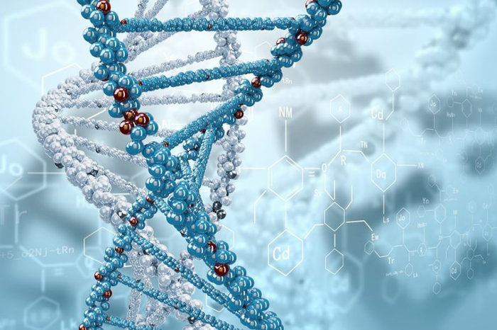 Teste de DNA nas fezes: um novo m&eacute;todo de detec&ccedil;&atilde;o do c&acirc;ncer colorretal