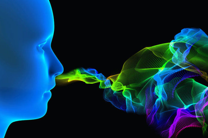 Aromaterapia: entenda o que é a terapia com óleos essenciais