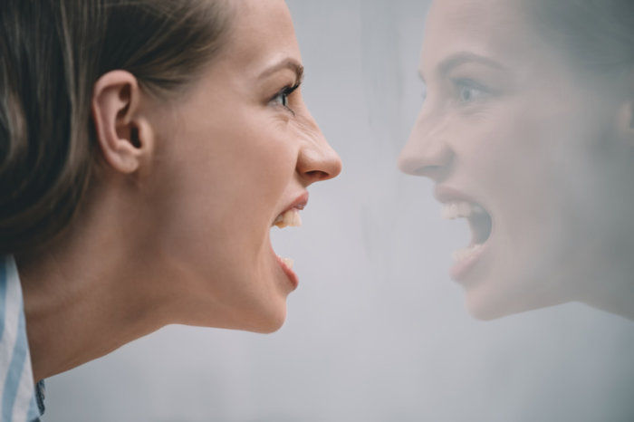 As ra&iacute;zes evolutivas da agressividade
