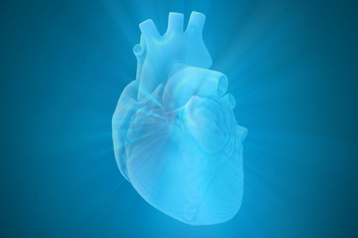 Choque cardiog&ecirc;nico