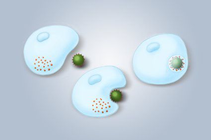 Diferenças entre inflamação e infecção