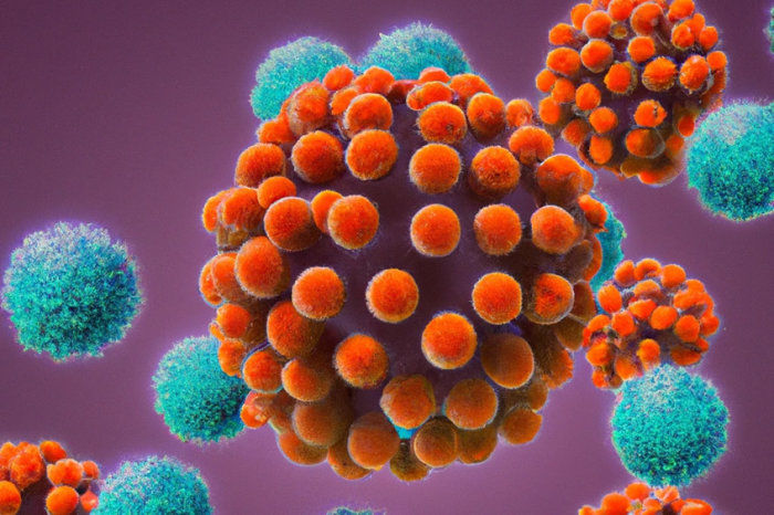 Doenças metabólicas hereditárias e adquiridas: entenda as diferenças e quando suspeitar