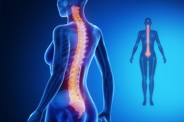 Fraturas da coluna: diagn&oacute;stico, tratamento e evolu&ccedil;&atilde;o cl&iacute;nica