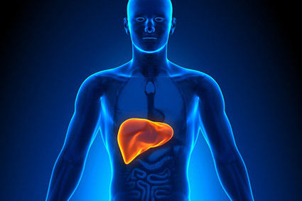 Hepatite alcoólica - como é? O que deve ser feito? Como prevenir?