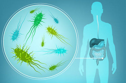 Microbioma intestinal humano