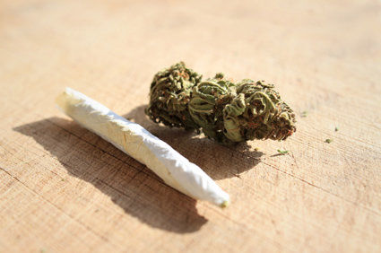 O que é maconha? Ela pode causar dependência? Quais são seus usos terapêuticos? O que ela pode causar no organismo?