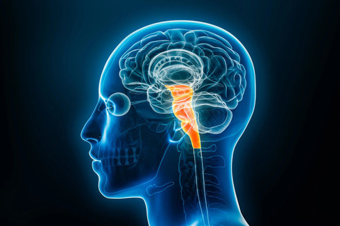 Paralisia bulbar progressiva: quando a fala, a deglutição e a respiração são afetadas por uma doença neurodegenerativa implacável