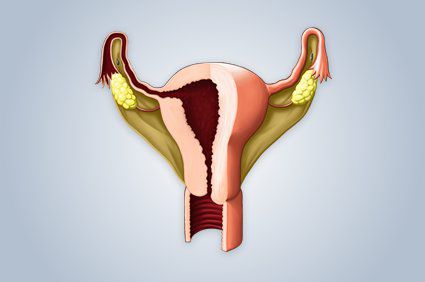 Sin&eacute;quias uterinas: o que &eacute; isso?