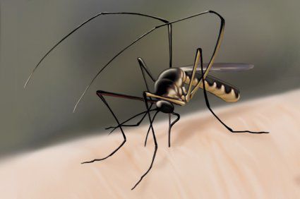 Sobre a segurança da vacina contra a febre amarela