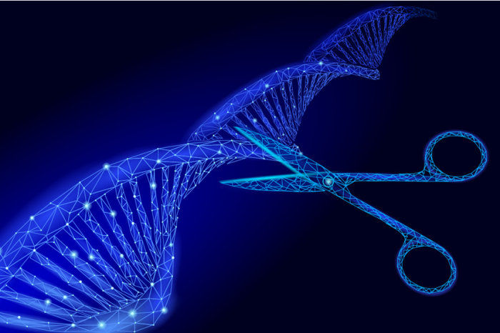 Técnica CRISPR: como funciona a ferramenta capaz de editar o DNA