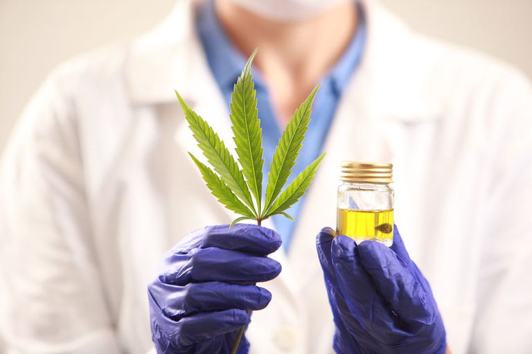 Usos medicinais da maconha
