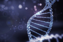 Edição genética - O que é e para o que ela serve?