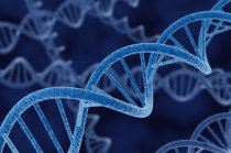 Genética - Alguns conceitos básicos