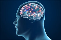 Neuroplasticidade cerebral