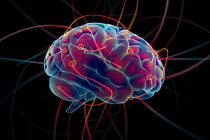 Neuroplasticidade cerebral