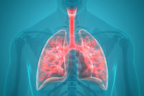 Prova de função pulmonar: como saber se seus pulmões estão funcionando bem? Prova de função pulmonar: como saber se seus pulmões estão funcionando bem?