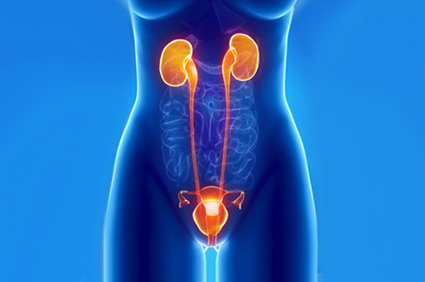 Câncer da bexiga: o que é? Quais as causas? O que sente uma pessoa com este tumor? Qual a evolução?