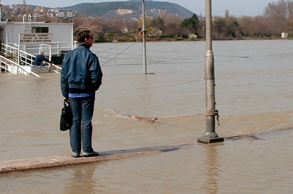 Como é a leptospirose?