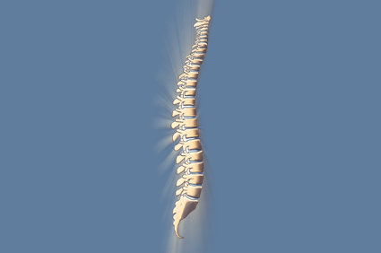 Mielite transversa: o que é? Quais são as causas? Como são os sintomas? Existe tratamento? Como evolui?