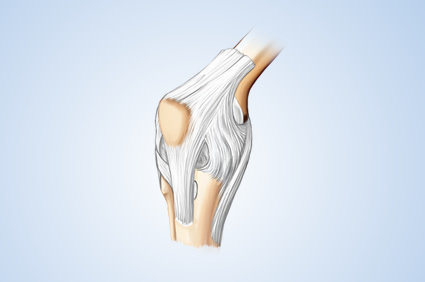 cum să tratezi osteoartrita cartofului la genunchi - Tratamentul artrozei yoshkar-ol