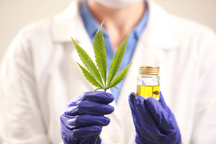 Usos medicinais da maconha