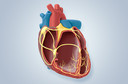 Arritmia cardíaca: conceito, causas, sintomas, diagnóstico, tratamento, evolução e possíveis complicações