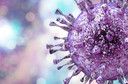 Citomegalovírus: o que sente uma pessoa infectada pelo citomegalovírus? Tem como evitar?