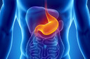 Endoscopia digestiva alta: como é o exame?