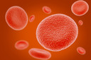 Linfo-histiocitose hemofagocítica: a tempestade imunológica que ameaça a vida