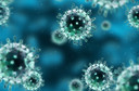 O que são vírus? Quais são as principais doenças que eles causam? Como evitar uma infecção viral?