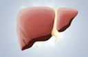 Tumores benignos do fígado