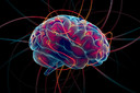 Neurotransmissores - quais são e como agem?